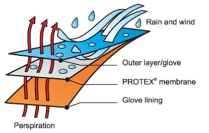 ProTex-membrana.jpg