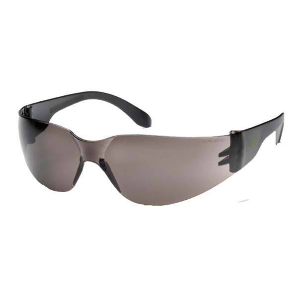 Aizsargbrilles Active VISION V111, tonētas